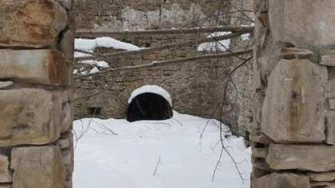 Photo from Barber Dynamo