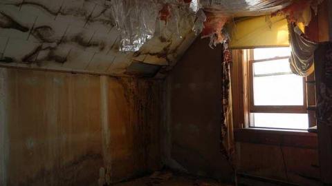 Photo from Inside Keith Farm