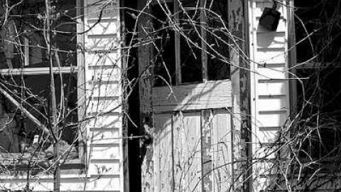 Broken Beauty - Lincoln, Ontario