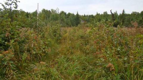 Gallery - Wahnapitae-Art-Teachers-House53.jpg