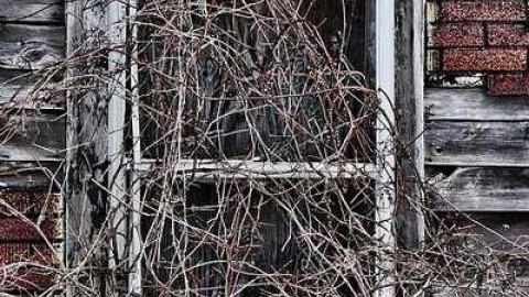 Photo from Locally abandoned