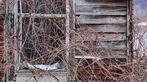 Photo from Locally abandoned