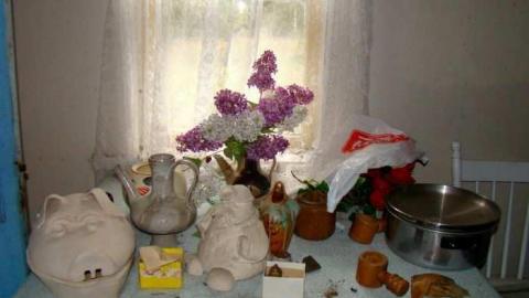 Gallery - Wahnapitae-Art-Teachers-House56.jpg