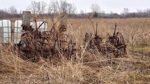 2014 - Cars-With-a-Chance-of-Carcass5.jpg