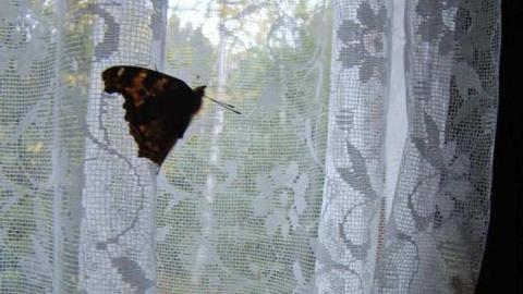 Gallery - Wahnapitae-Art-Teachers-House39.jpg