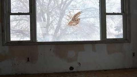 No Mersea (March 2015) - 7.jpg