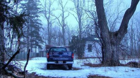 Critter Scurry - 1a.jpg