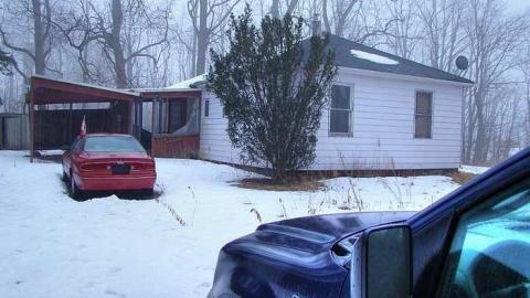 Critter Scurry - 2.jpg