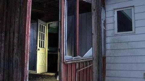 Critter Scurry - 2b.jpg