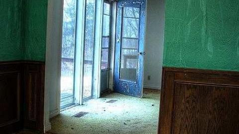 Critter Scurry - 5.jpg