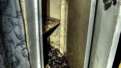 Critter Scurry - 6.jpg