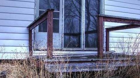 Critter Scurry - 7.jpg