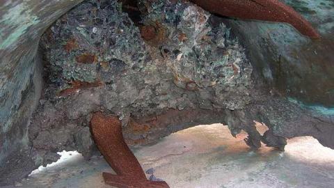 Oldies - Sept 2011 - St.-Raphaels49.jpg