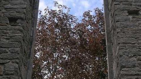 Oldies - Sept 2011 - St.-Raphaels53.jpg