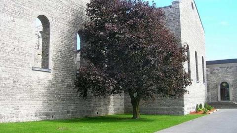 Oldies - Sept 2011 - St.-Raphaels68.jpg