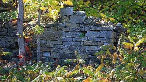 Oct 2014 - Horaceville-(ghost-town)26.jpg