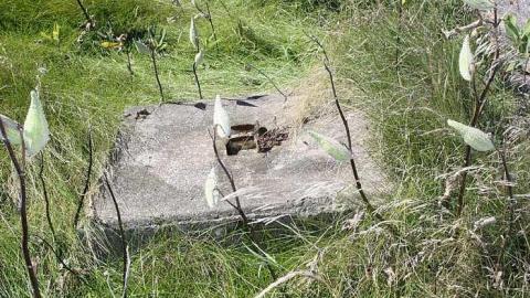 Photo from Sept 2013