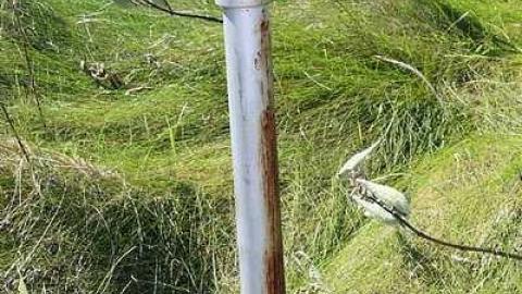 Sept 2013 - Sep08-13-C 041.jpg