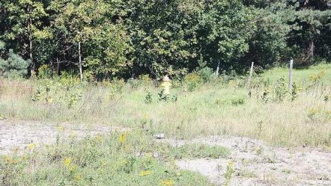 Sept 2013 - Exterior - Sep08-13-C 019.jpg