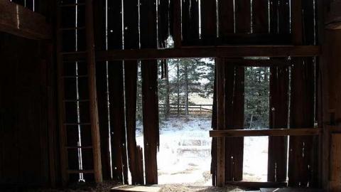 Northwinds Farm photo 2