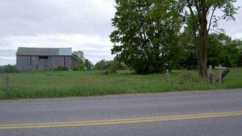 Fingerboard/ Port Hoover photo 3