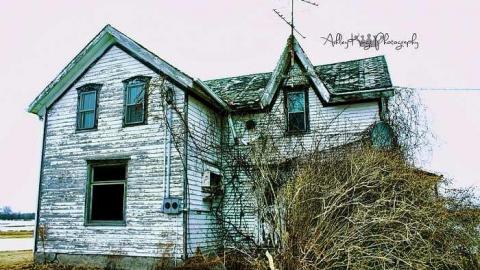 Forks House - forks5edit.jpg