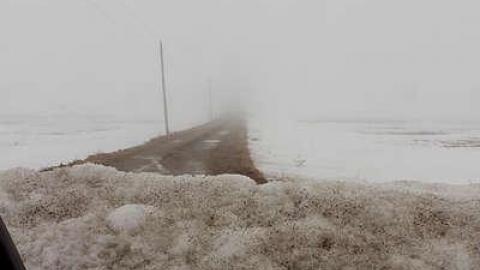 LIFE IS CRAP  03/15 - Mileys-Candy-Land27.jpg