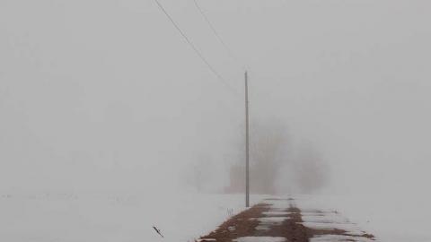 LIFE IS CRAP  03/15 - Mileys-Candy-Land60.jpg