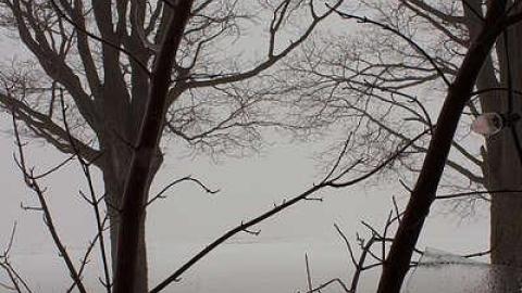 LIFE IS CRAP  03/15 - Mileys-Candy-Land62.jpg