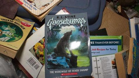 LIFE IS CRAP  03/15 - Mileys-Candy-Land33.jpg