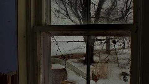 LIFE IS CRAP  03/15 - Mileys-Candy-Land35.jpg