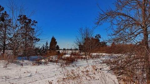 Check Inn Then CHECKOUT 2/15 - OAP Chatham-Kent Loc. x 3 snow 077_1.jpg