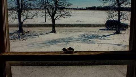 Check Inn Then CHECKOUT 2/15 - OAP Chatham-Kent Loc. x 3 snow 110_1.jpg