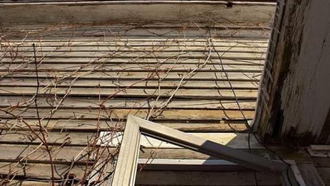 Check Inn Then CHECKOUT 2/15 - OAP Chatham-Kent Loc. x 3 snow 132_1.jpg