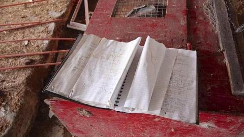 Cold Barn On A Monday - The-Amber-House7.jpg