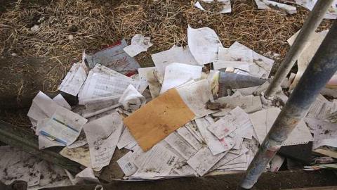 Cold Barn On A Monday - The-Amber-House2.jpg