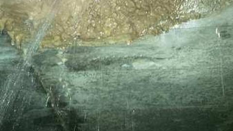 Chedoke-Westdale Sewer (Stairway To Paradise) photo 2