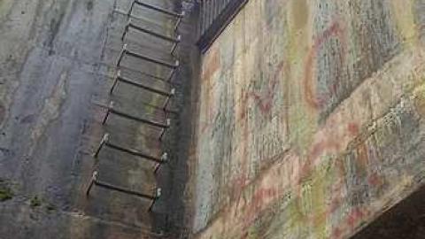 Chedoke-Westdale Sewer (Stairway To Paradise) photo 4