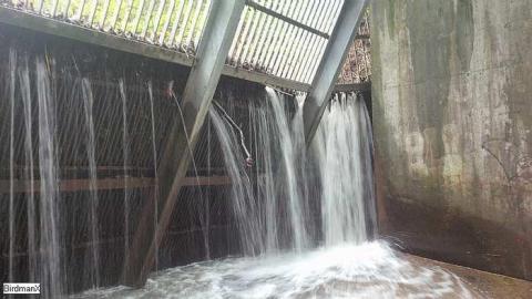 Chedoke-Westdale Sewer - ChedokeWestdale-Sewer19.jpg