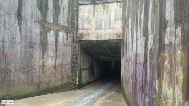 Chedoke-Westdale Sewer (Stairway To Paradise) photo 3