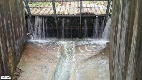 Chedoke-Westdale Sewer - ChedokeWestdale-Sewer20.jpg