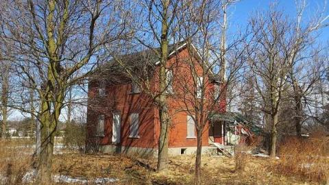 Chilly 2015 - Tall-Red-on-8651.jpg