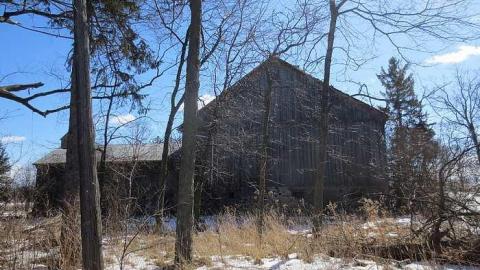 Chilly 2015 - Tall-Red-on-8665.jpg