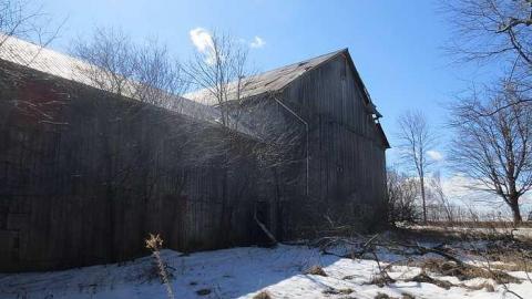 Chilly 2015 - Tall-Red-on-8666.jpg