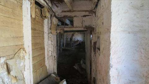 Chilly 2015 - Tall-Red-on-8653.jpg