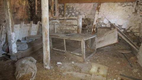 Chilly 2015 - Tall-Red-on-8667.jpg