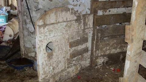 Chilly 2015 - Tall-Red-on-8668.jpg