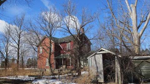 Chilly 2015 - Tall-Red-on-8671.jpg