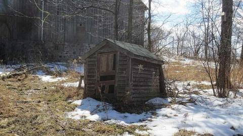 Chilly 2015 - Tall-Red-on-8633.jpg