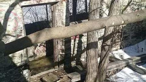 Photo from March 2015